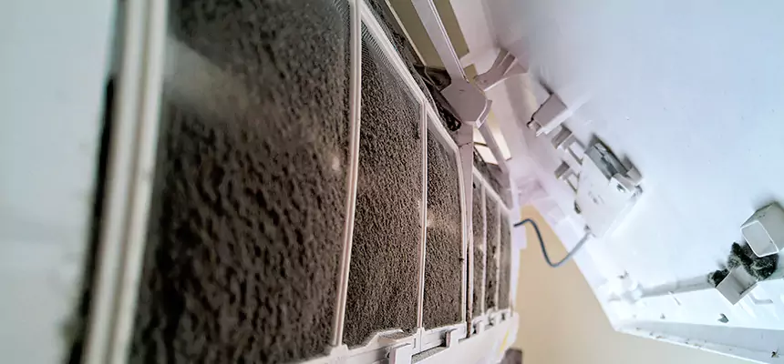 Preventive Air Duct Bacteria Removal in Pickerington