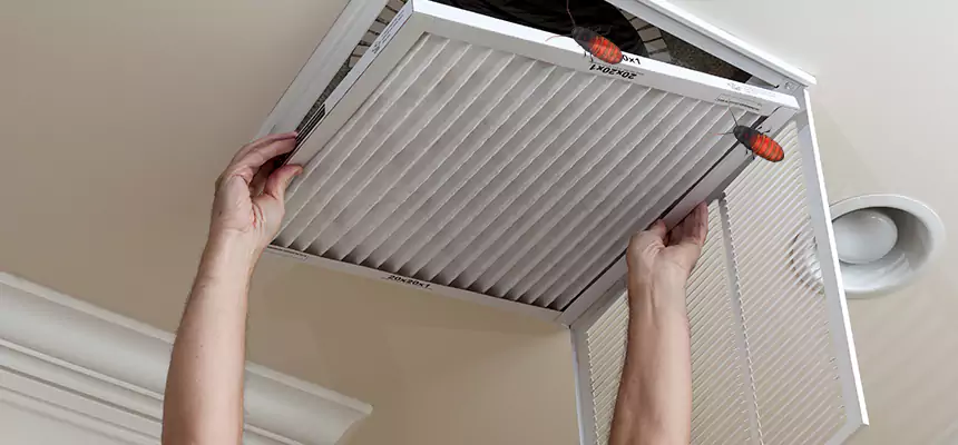 Preventive Cockroach-Proofing for Ducts in Pickerington