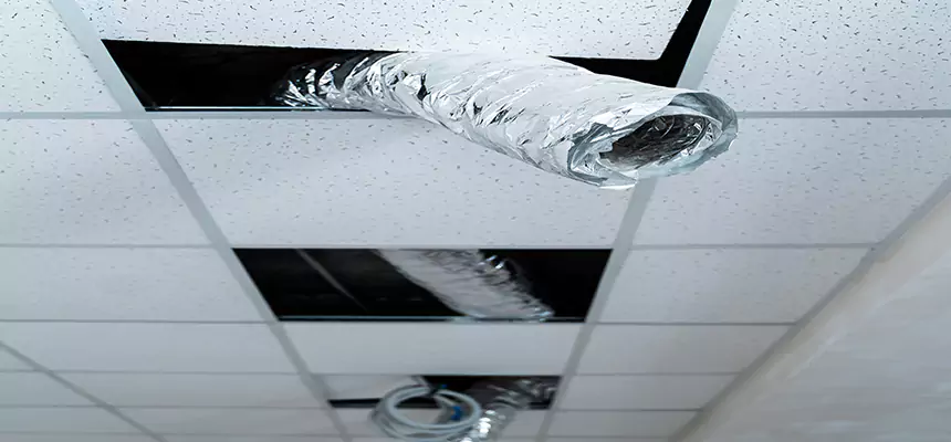 Our Air Duct Pet Hair Removal Services in Pickerington, OH