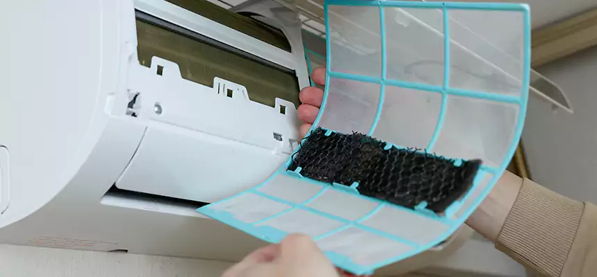 Gentle Ductwork Odor-Control Pet Dander Duct Cleaning in Pickerington, OH