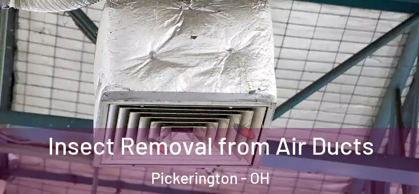  Insect Removal from Air Ducts Pickerington - OH