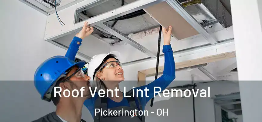  Roof Vent Lint Removal Pickerington - OH